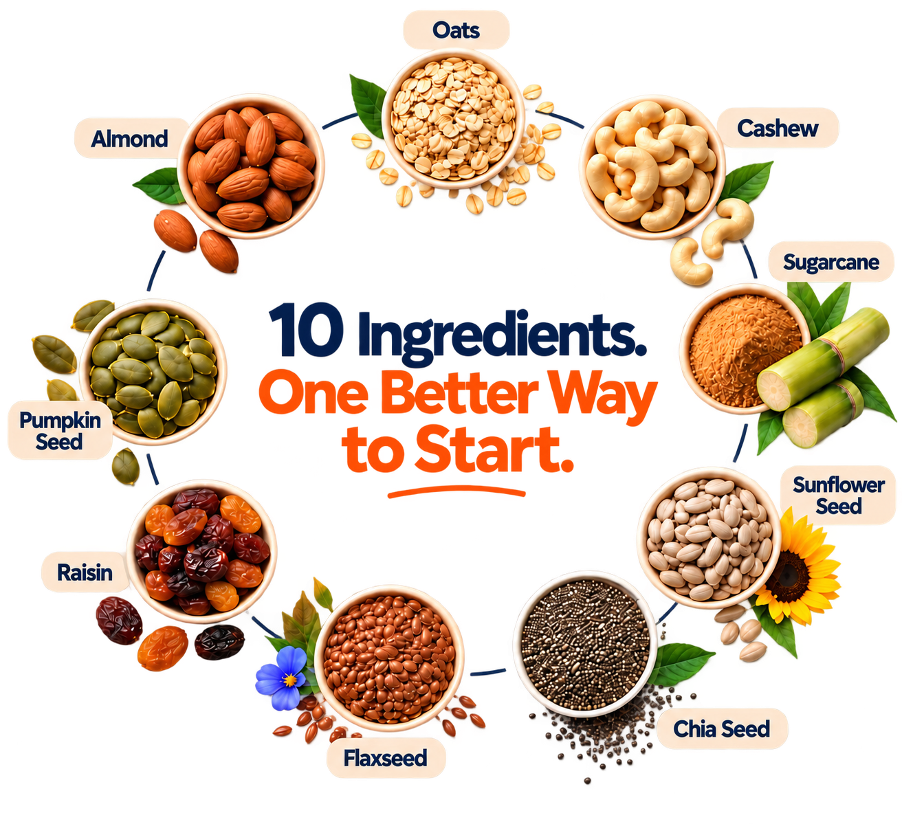 10 ingredients list transparent